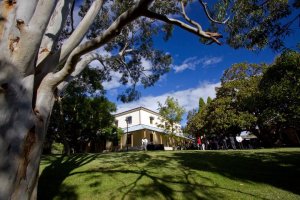 Copyright: Gibson Nolte mail@gibsonnolte.com